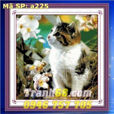 Tranh Thêu Chữ Thập Chú mèo con DLH-YA225