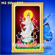 Tranh Thêu Chữ Thập Phật Bà Quan Âm DLH-YA803