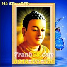 Tranh Thêu Chữ Thập Phật Thich ca DLH-YA750