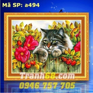 Tranh Thêu Chữ Thập Chú mèo DLH-YA494
