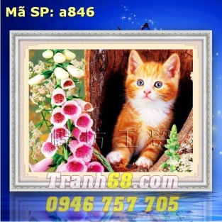 Tranh Thêu Chữ Thập Chú Mèo DLH-YA846