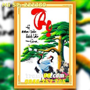 Tranh Thêu Chữ Thập Chữ Thọ  DLH-222380
