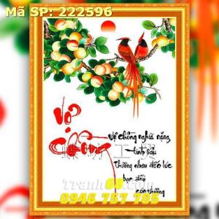 Tranh Thêu Chữ Thập Vợ Chồng  DLH-222596